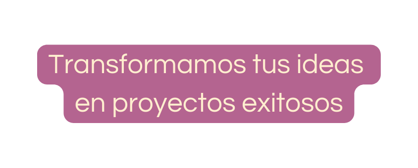 Transformamos tus ideas en proyectos exitosos